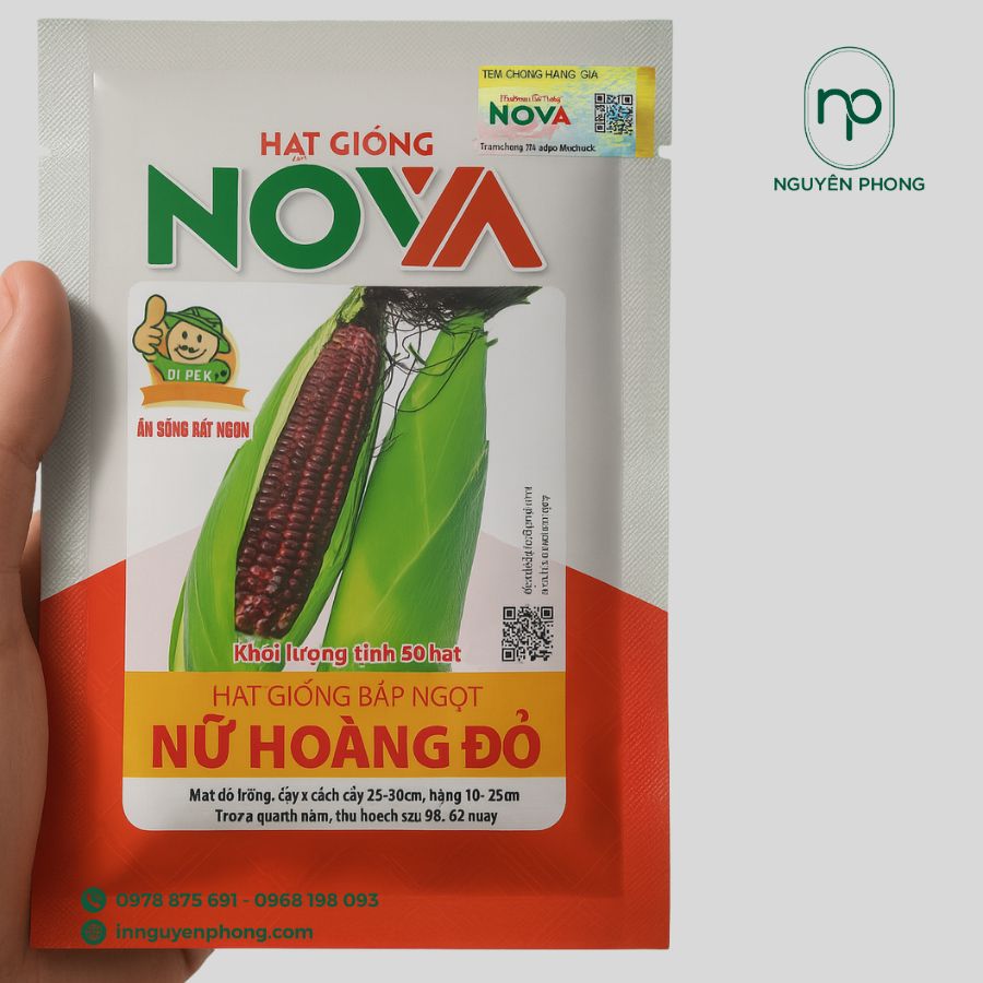 in-tem-dan-hat-giong-gia-re-tai-ha-noi